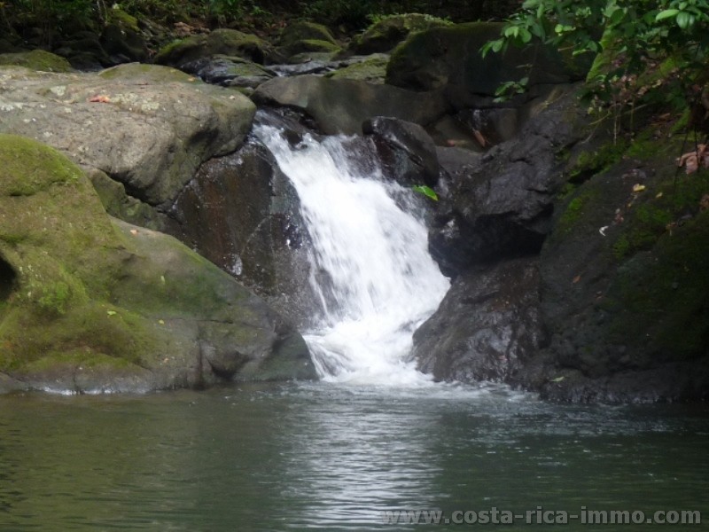 32 ha am Ortsrand von Cahuita, mit Flussanstoss, Urwald, Weiden, etc.